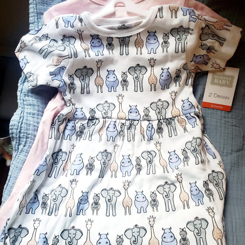 2 Girl dresses NWT 18 month
